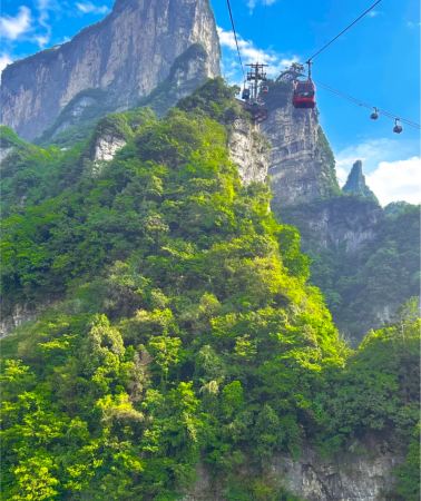 2天1晚 • 張家界+天門山2日1晚跟團遊·「楚韻翠微·純玩口碑熱銷」雙5A級景區·天門山VS森林公園&贈百龍天梯上行+天門山纜車來回
