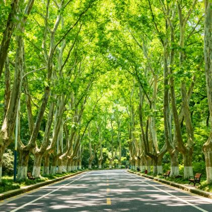 江苏南京3日2晚自由行