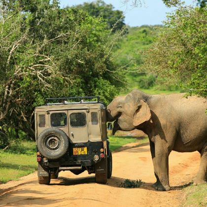 斯里兰卡8日7晚拼小团