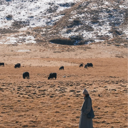四姑娘山景区+新都桥+墨石公园景区3日2晚拼小团