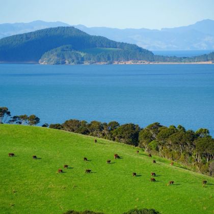 新西兰奥克兰+陶波+罗托鲁瓦+基督城+特卡波+瓦纳卡+皇后镇11日10晚私家团