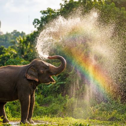 曼谷+普吉岛7日6晚私家团