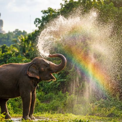 曼谷+普吉岛7日6晚私家团