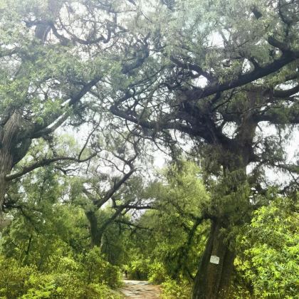 广元+江油+阆中4日3晚自由行