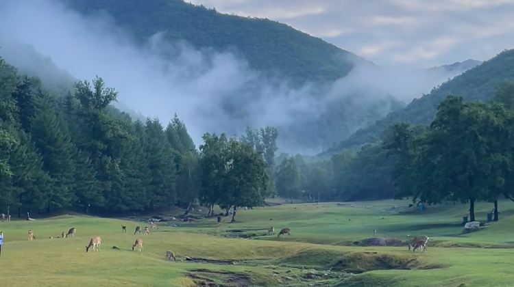 5D4N · Group Tours ·  Harbin - Transfer to Yichun forest city and experience spring landscape