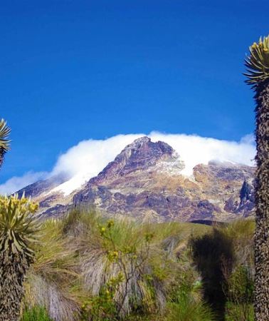 3D2N • Trekking at Los Nevados National Natural Park
