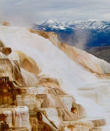 2D1N • 2 Day Yellowstone National Park Upper and Lower Loop Exploration