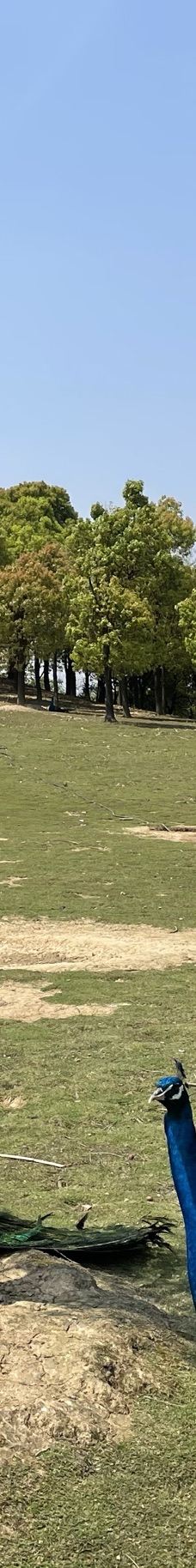 仙山湖风景区-长兴