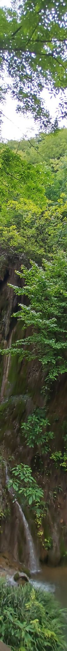 香水河-南漳-13271593