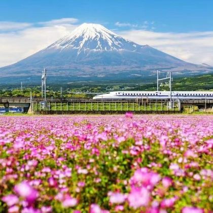 富士山+镰仓市+东京迪士尼乐园6日5晚私家团