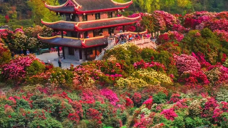 【贵阳出发】贵州贵阳+黄果树景区+荔波小七孔景区+西江千户苗寨4日3晚私家团
