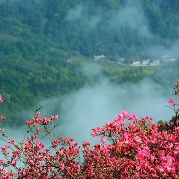安徽金寨+天堂寨+六安市金寨县马鬃岭风景区+梅山水库风景区3日2晚私家团