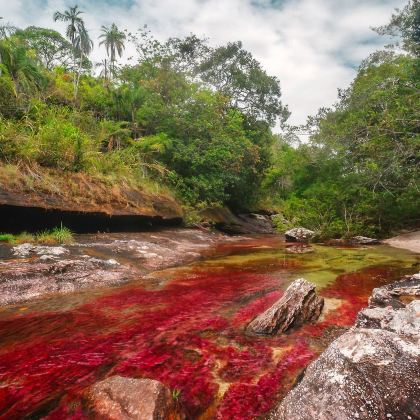 哥伦比亚波哥大波哥大主教座堂+拉马卡雷纳caño cristales Park+锡帕基拉盐矿大教堂10日8晚私家团