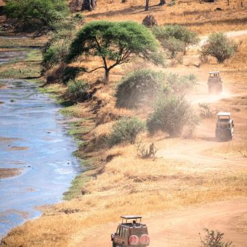 坦桑尼亚+塞伦盖蒂国家公园+塔兰吉雷国家公园+恩戈罗恩戈罗保护区9日7晚私家团