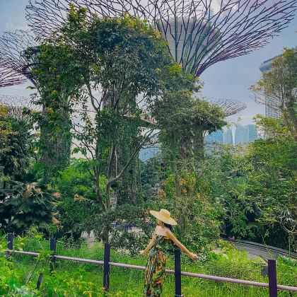 马来西亚吉隆坡+兰卡威8日7晚自由行