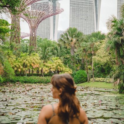 新加坡夜间野生动物园+圣淘沙岛4日3晚私家团