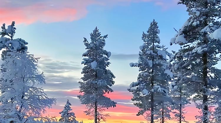 6-Day Harbin & Changbai Mountain Private Tour· Yanji, Tumen Port, Korean Folk Village | Jingbo Lake Scenic Spot | Hengdaohezi Russian Style Town Scenic Area