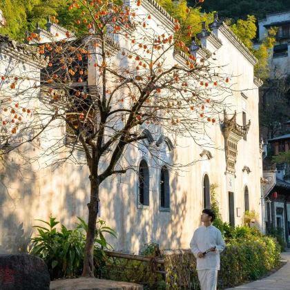 景德镇+婺源+三清山3日2晚跟团游