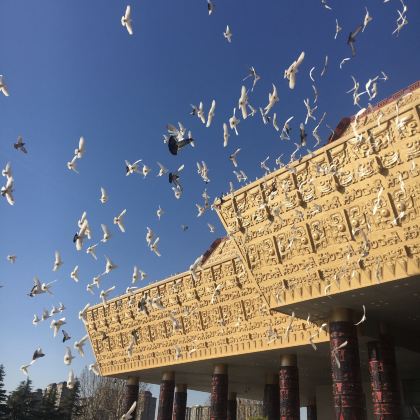 山西长治+晋城+邯郸+安阳6日5晚私家团