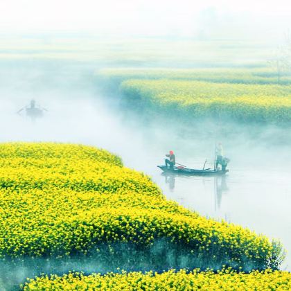 江苏盐城+泰州3日2晚私家团