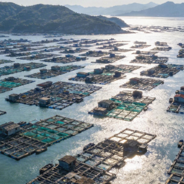 福州+平潭岛+霞浦5日4晚拼小团