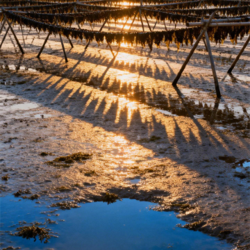 福州+平潭岛+霞浦5日4晚拼小团