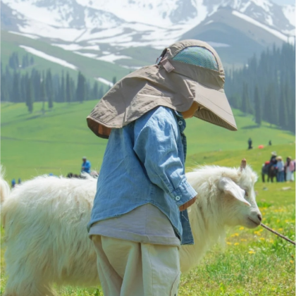 呼和浩特+乌兰哈达火山地质公园+辉腾锡勒草原+黄花沟草原旅游度假区+美岱召+响沙湾+内蒙古博物院(新馆)5日4晚拼小团
