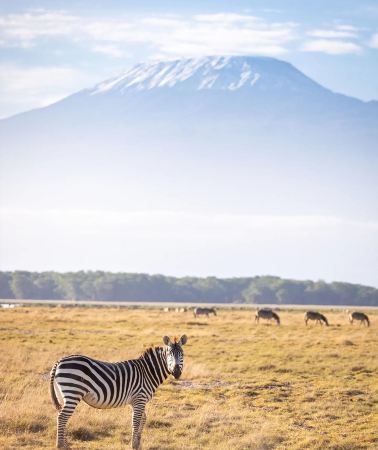 8D7N • 2-person private group: Kenya Masai Mara National Reserve, Lake Naivasha, Amboseli, Nairobi and Lake Nakuru