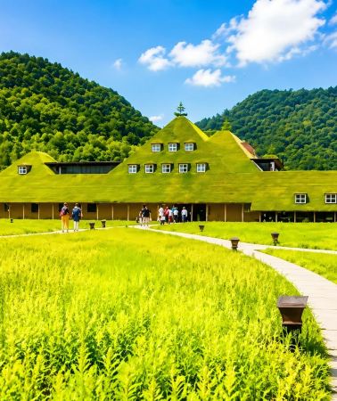 5日4晚 • 日本琵琶湖·京都·大阪｜入住琵琶湖酒店欣賞湖景溫泉｜琵琶湖遊船60分鐘｜童話甜點·小鎮與動物互動·暢玩USJ｜全程專車服務