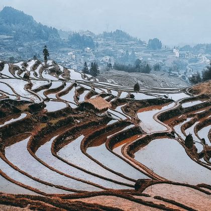 丽水+松阳+缙云4日3晚自由行
