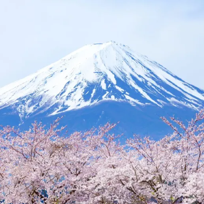 日本大阪+京都6日5晚自由行