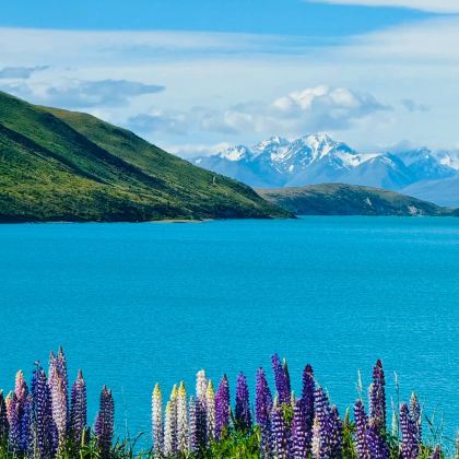 新西兰皇后镇+霍比特村+米尔福德峡湾+怀托摩萤火虫洞+特卡波9日8晚私家团