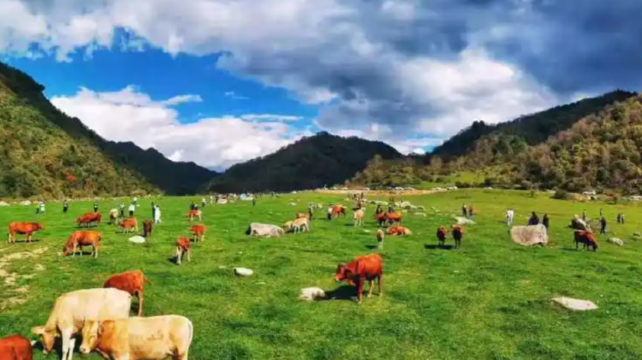 九寨沟靠谱旅行社五强推荐