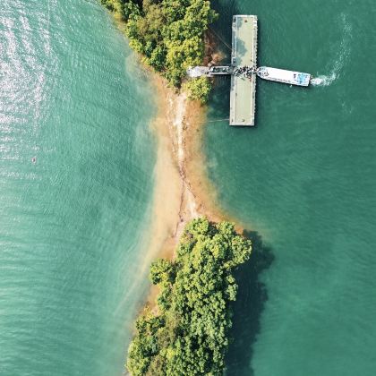 河南信阳2日1晚私家团