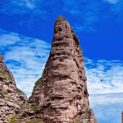 西宁+同仁+黄南4日3晚私家团