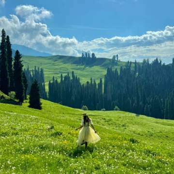 北疆+伊犁+赛里木湖+那拉提草原8日7晚私家团