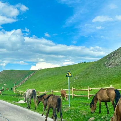 内蒙古呼伦贝尔+满洲里+额尔古纳+海拉尔6日5晚私家团