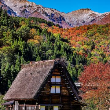日本名古屋6日5晚私家团