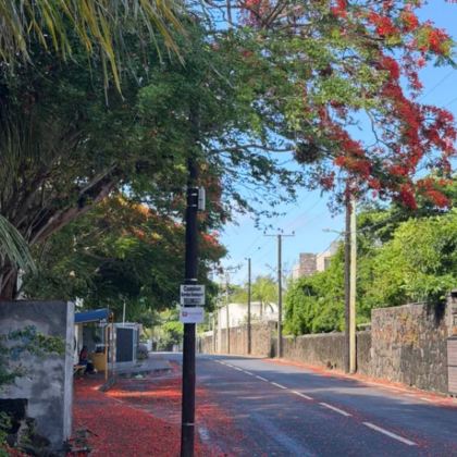 毛里求斯7日6晚私家团