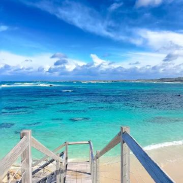 澳大利亚西澳大利亚珀斯+杰拉尔顿+罗特尼斯岛5日4晚私家团