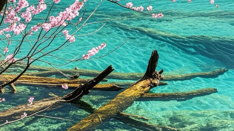9-Day Sichuan-Chongqing Dual-City Tour: Jiuzhaigou & Hongyadong. Contact customer service for complimentary family room upgrade in downtown Chengdu, free customized private itinerary