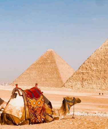 3D2N • Cairo + Alexandria Tour: Visit pyramid complexes and ancient city ruins + Admire pharaoh treasures in two major museums + Tour ancient sites along Alexandria's Mediterranean coast