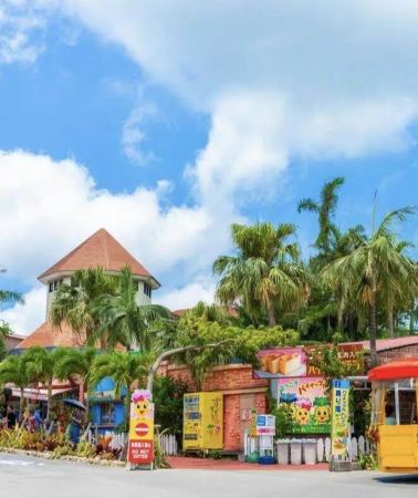 5D4N • Okinawa Island Highlights Tour: Senagajima Beach Resort - Ocean Relax Zone - Shurijo Castle - Okinawa Urban Landmarks