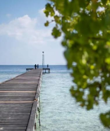 3D2N • Marine Paradise: Multi-Day Omadhoo Adventure