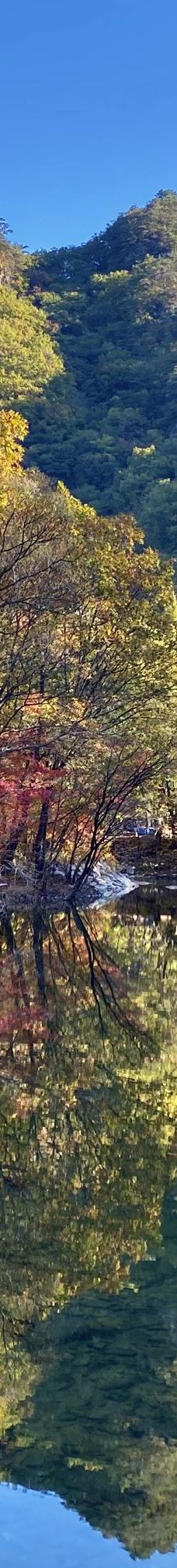 蒲石河森林公园-凤城