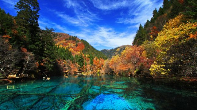 九寨沟+黄龙风景名胜区3日2晚·封顶8人车团+增加游览熊猫乐园/都江堰+春季赏花+赠送九寨沟旅拍+下午茶+严选司机+满6人升级1+1排超V保姆车+5钻酒店/5星天源豪生/品牌Hilton希尔顿//康莱德酒店套餐可选