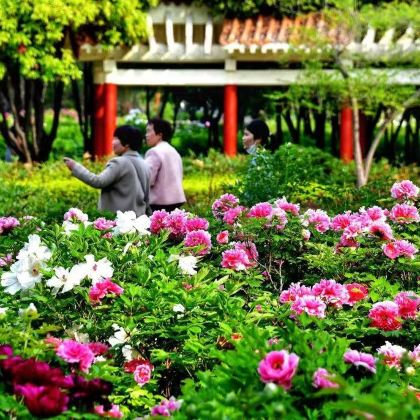 郑州+云台山+殷墟博物馆+太行大峡谷景区5日4晚私家团