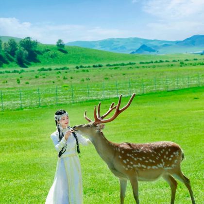 乌兰布统旅游区+木兰围场+塞罕坝国家森林公园+承德+避暑山庄+坝上3日2晚私家团