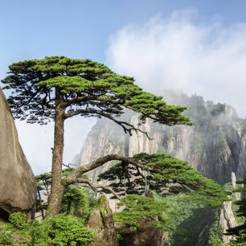 中国安徽黄山市3日2晚跟团游