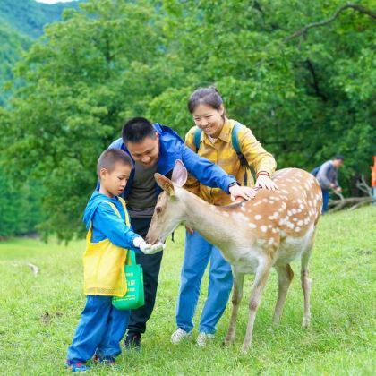  亲近自然|伊春6天5晚亲子+单飞夏令营，逃离城市之名，共赴山野之约，小众高质量避暑胜地，带上家人带上娃，去过22的盛夏！